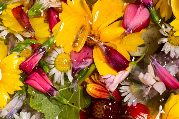 Польові та лугові квіти, відкинуті, сфотографовані у воді. Яскраві кольори пелюсток
 - Фото, зображення
