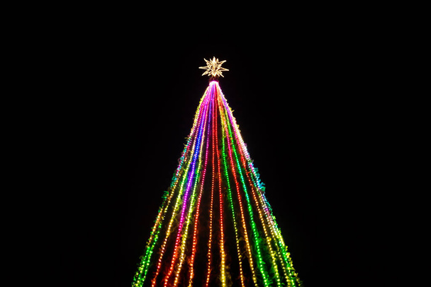 Colorido árbol de Navidad con estrella en la cima en Remate de Paseo Montejo, Mérida, Yucatán, México
 - Foto, imagen