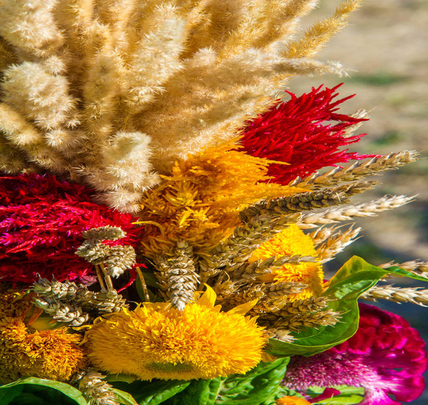 Boeket bloemen. een prachtig gearrangeerd bos bloemen, vooral een gepresenteerd als een geschenk of gedragen tijdens een ceremonie. neus, smaak - Foto, afbeelding