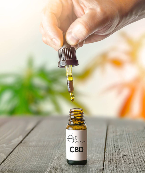 Hand holding pipette with Cannabis CBD oil on wooden table - Foto, Bild