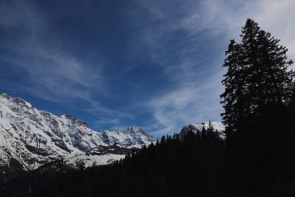 スイスのムルレン郊外で撮影された、背景にベルネーゼアルプスと高山のシルエット。. - 写真・画像