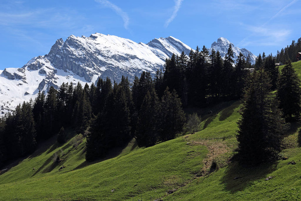 De heuvels bij Murren, Zwitserland, gelegen in de Berner Hooglanden. - Foto, afbeelding