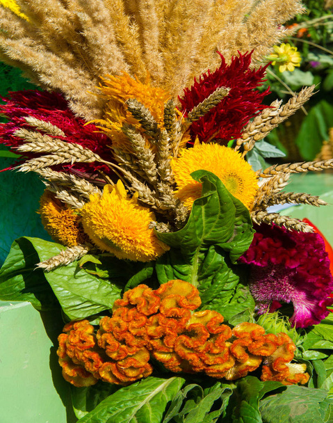 Buquê de flores. um grupo atrativamente arranjado de flores, especialmente uma apresentada como um presente ou transportada em uma cerimônia. nariz, sabor - Foto, Imagem