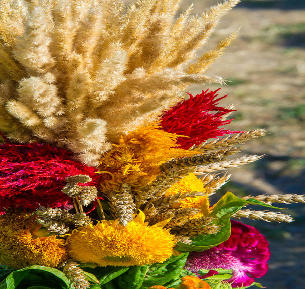 Kukkakimppu. houkuttelevasti järjestetty joukko kukkia, varsinkin yksi esitetään lahjana tai kuljettaa seremoniassa. nenä, maku - Valokuva, kuva