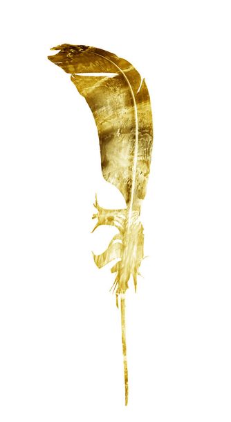 Watercolor feathers, isolated on white background - Fotó, kép