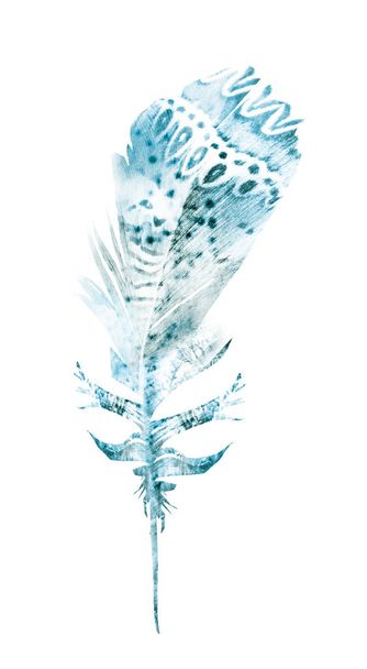 Watercolor feathers, isolated on white background - Foto, Bild