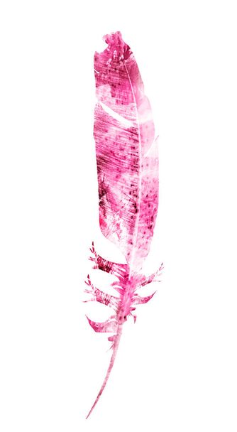 Watercolor feathers, isolated on white background - Foto, Imagen