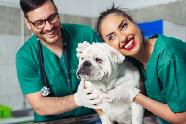 Dos médicos veterinarios con perro durante el examen en la clínica veterinaria
 - Foto, Imagen