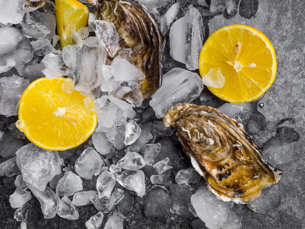 fresh raw oysters on ice with lemon slices, mollusk of the Atlantic Ocean - 写真・画像
