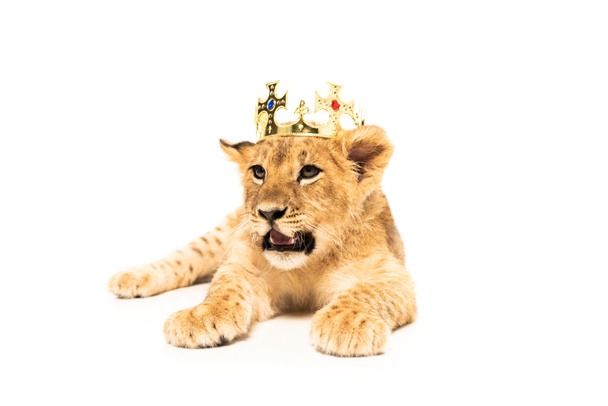 cute lion cub in golden crown isolated on white - Foto, imagen