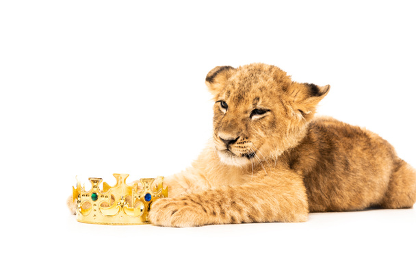 cute lion cub near golden crown isolated on white - Foto, afbeelding