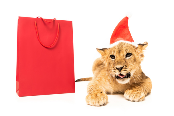 lindo cachorro de león en sombrero de santa cerca de bolsas de compras rojas aisladas en blanco
 - Foto, Imagen