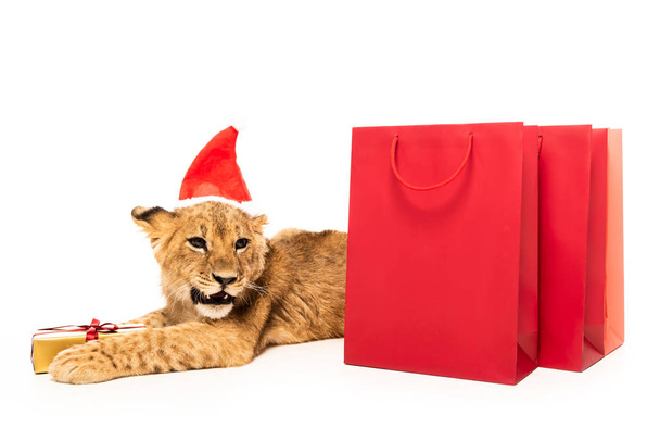 aranyos oroszlán kölyök télapó kalap közel arany ajándék és piros bevásárló táskák elszigetelt fehér - Fotó, kép