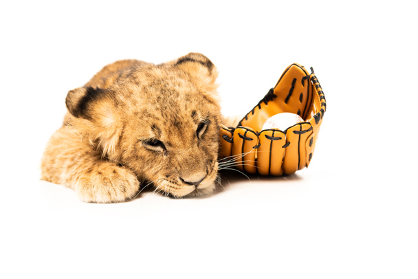 cute lion cub near ball in baseball glove isolated on white - Fotó, kép