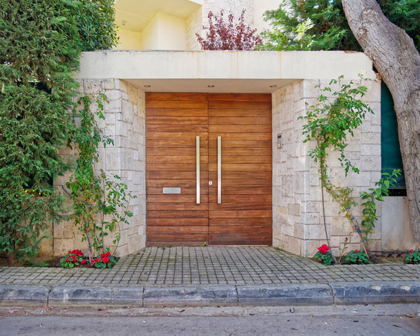 tyylikäs nykyaikainen talon sisäänkäynti puinen ovi ja punaiset kukat, Ateena Kreikka
 - Valokuva, kuva