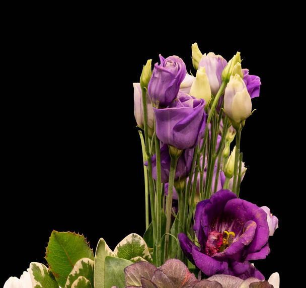 rosa violeta lisianthus bouquet macro, vintage bodegón arte
 - Foto, imagen