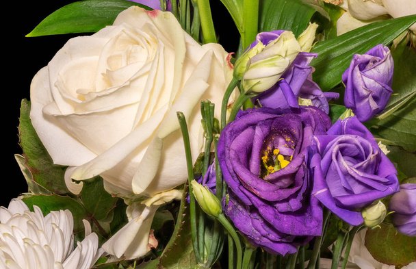 blau rot violett lisianthus bouquet macro, vintage fine art stillleben - Foto, Bild