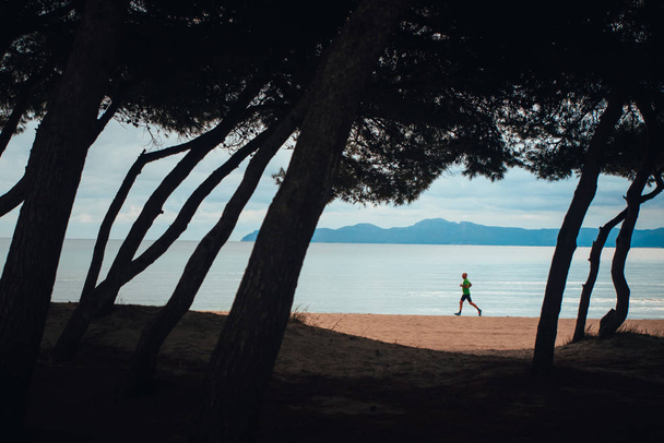 Alone runner on the morning beach between trees - 写真・画像