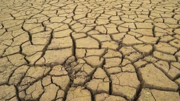 Πανοραμική θέα του σπασμένου λασπωμένου πυθμένα του αποξηραμένου φράγματος στη Βουλγαρία. Καταστροφική ξηρασία - Πλάνα, βίντεο