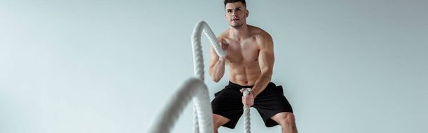 selective focus of sexy muscular bodybuilder with bare torso exercising with battle rope on grey background, panoramic shot - Photo, Image
