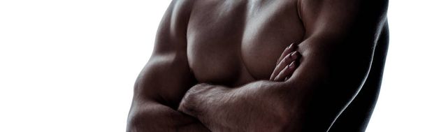 cropped view of sexy muscular bodybuilder with bare torso posing with crossed arms in shadow isolated on white, panoramic shot - Fotó, kép