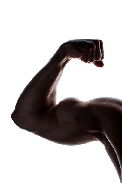 cropped view of muscular bodybuilder showing biceps in shadow isolated on white - Photo, Image