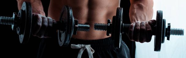 обрезанный вид сексуального мускулистого культуриста с голым туловищем, тренирующимся с гантелями, панорамный снимок
 - Фото, изображение