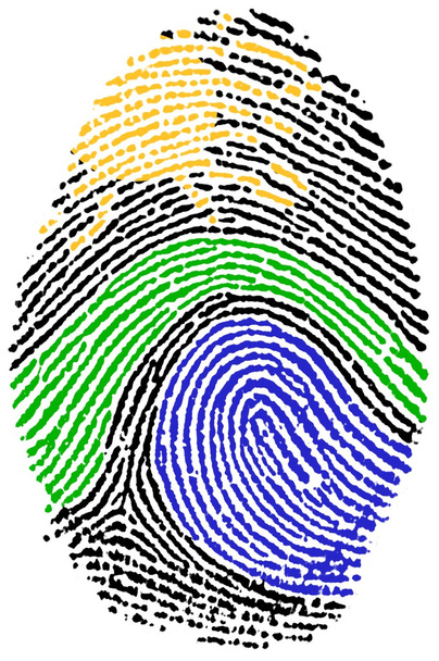 Nature sign Fingerprint - Photo, Image