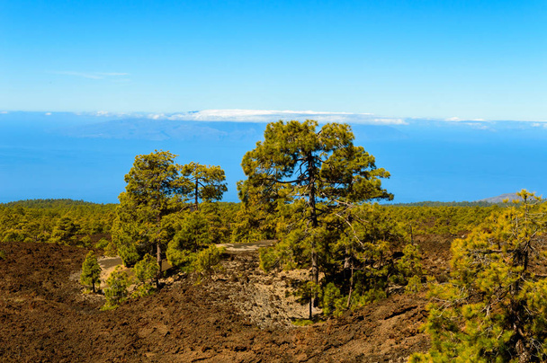 Vulkáni sziklák veszik körül az Atlanti-óceánt az El Teide Nemzeti Parkban. 2019. április 13. Santa Cruz De Tenerife Spanyolország Afrika. Utazás Turizmus Street Photography. - Fotó, kép