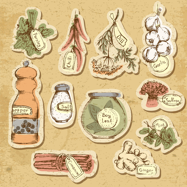 Set of spices and herbs - Vector, Image