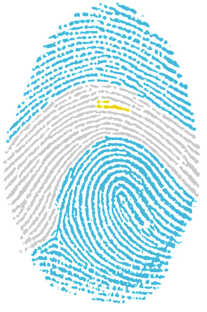 Argentina flag Fingerprint - Photo, Image