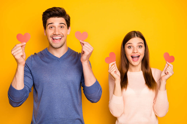 Portrait of excited crazy two married celebrate 14-february hold small paper card hearts scream wow omg wear blue pink pullover isolated over bright shine color background - Foto, Imagem