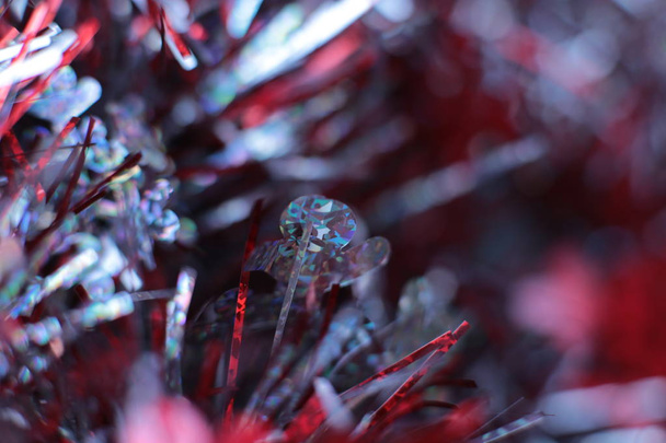 Μαγικά χρώματα της Χριστουγεννιάτικης ατμόσφαιρας λάμπουν στο χώρο - Φωτογραφία, εικόνα