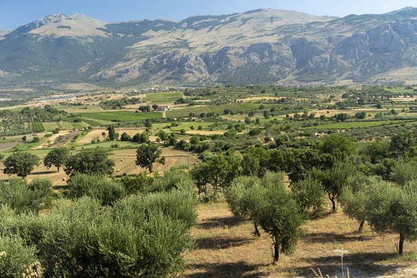 Summer landscape in Calabria, Italy, near Castrovillari - Photo, Image