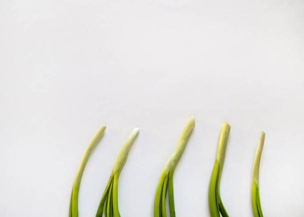 Cebollas verdes frescas situadas en el borde inferior de la foto para su uso en piel aislada sobre fondo blanco
 - Foto, imagen