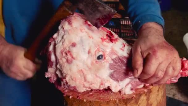Arbeiter öffnet Schweinekopf während Schlachtung mit Axt auf einem Ast - Filmmaterial, Video