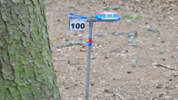 Control Point in Forest Orienteering Competition, Είσοδος κρυμμένη στη χώρα - Πλάνα, βίντεο