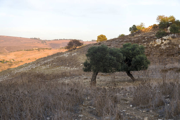 Krajina na Kypru u Avakas Gorge. Příroda Wild - Fotografie, Obrázek
