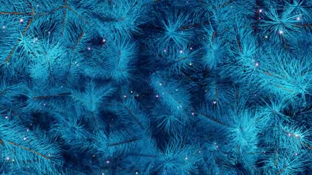 Blu albero di Natale movimento sfondo. Luci scintillanti all'albero di Natale. Abete di anno nuovo con decorazioni e illuminazione. Albero di Natale decorazioni sfondo. Capodanno e Natale 2021. Loop 4K - Filmati, video