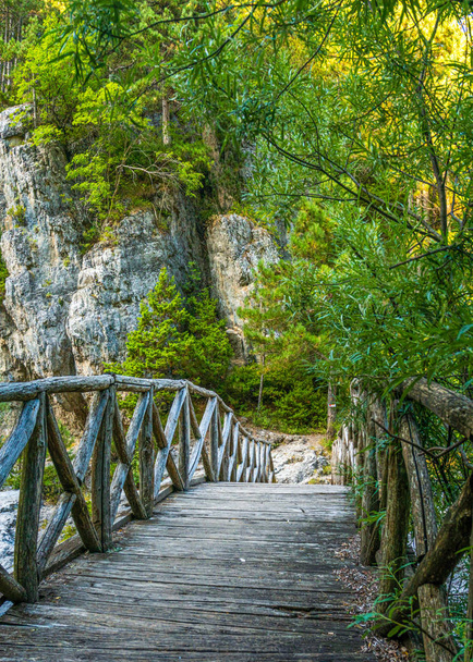 Puente de madera y piedras sobre el fondo de árboles verdes
 - Foto, imagen