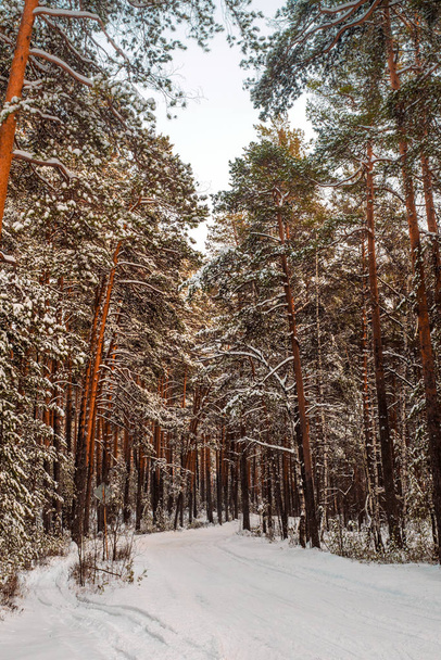 Üres hóval borított úton a téli táj. Vidéki út keresztül téli mezőt forest a láthatáron. Művészi kép. Szépség világ. - Fotó, kép