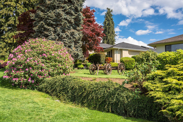 Creatively landscaped yard in residential community with old horse vehicle - Photo, Image