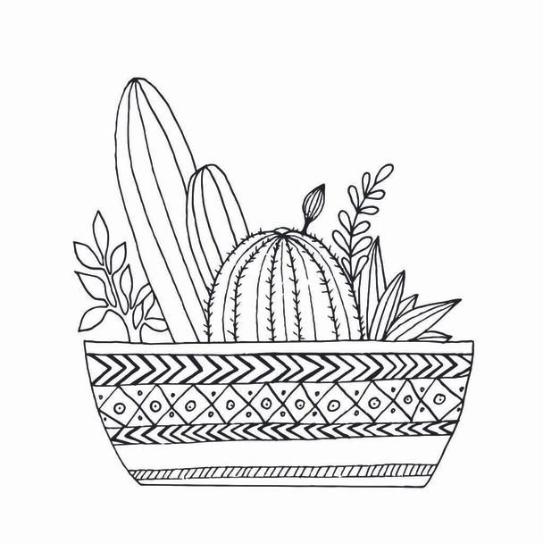Houseplants in a pot delivery doodle logo. Hand drawn illustration. Herbs, sansevieria and cactus. Stock art - Photo, Image