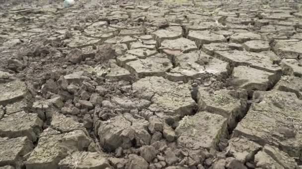 Κρίση νερού στο Πέρνικ της Βουλγαρίας. φράγμα Studena αποξηραμένο ραγισμένο πυθμένα λάσπης - Πλάνα, βίντεο