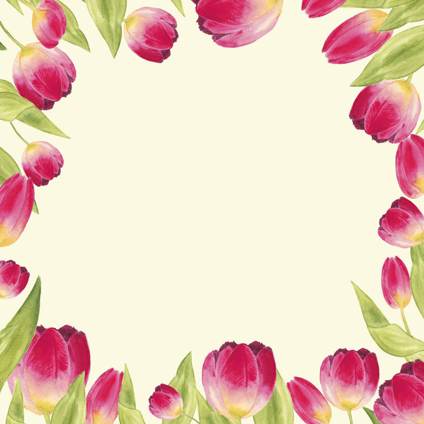 Watercolor border with tulips and  leaves - Photo, Image