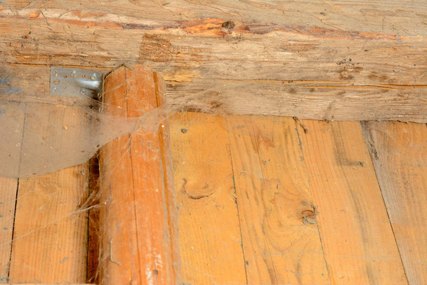 Muchas telas de araña salpicadas en la pared con soportes de araña, la pared hecha de tablas horizontales de madera
. - Foto, imagen