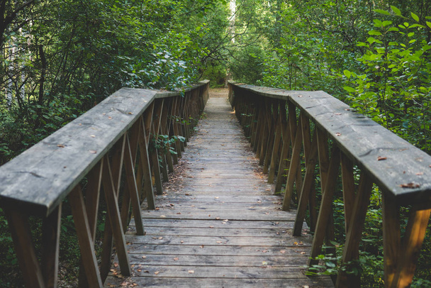small wooden bridge inside of a forest - Фото, изображение