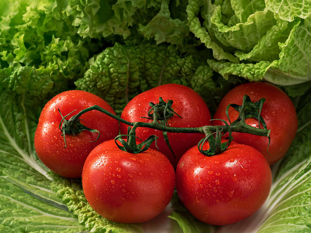 A branch of ripe tomatoes on the leaves of Chinese cabbage and lettuce. Drops of water on tomatoes. Close-up. Selective focus on tomatoes. Horizontal orientation. - Photo, Image