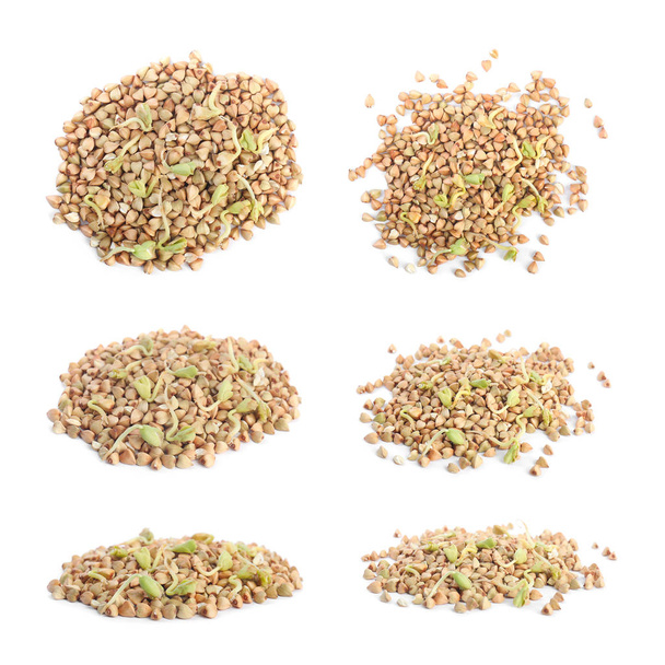 Set of sprouted green buckwheat isolated on white - Фото, изображение