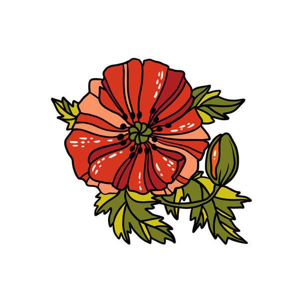 Linear poppy flowers - Wektor, obraz